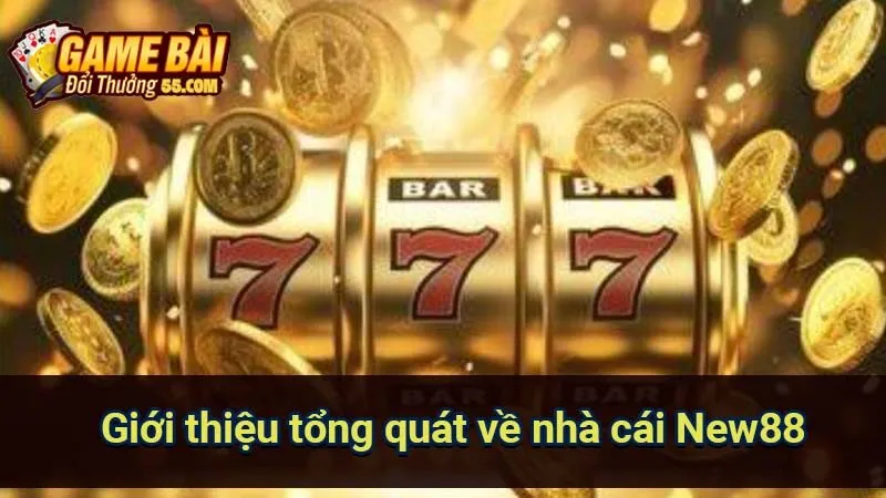 Giới thiệu tổng quát về nhà cái New88