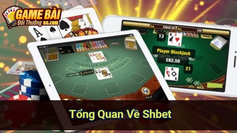 Tổng Quan Về Shbet
